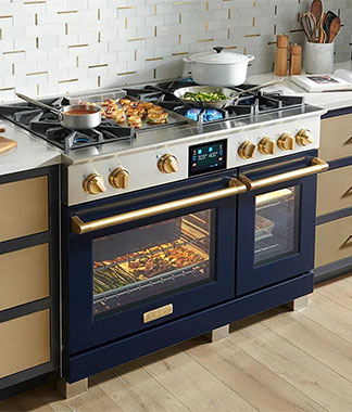 Bluestar kitchen appliances